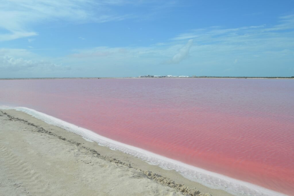 lagunas rosas, las coloradas, en yucatán