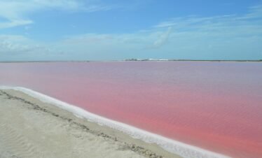 lagunas rosas, las coloradas, en yucatán
